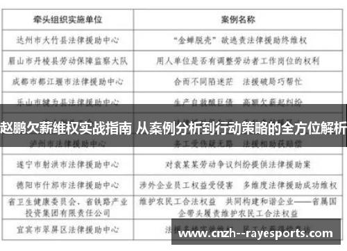 赵鹏欠薪维权实战指南 从案例分析到行动策略的全方位解析